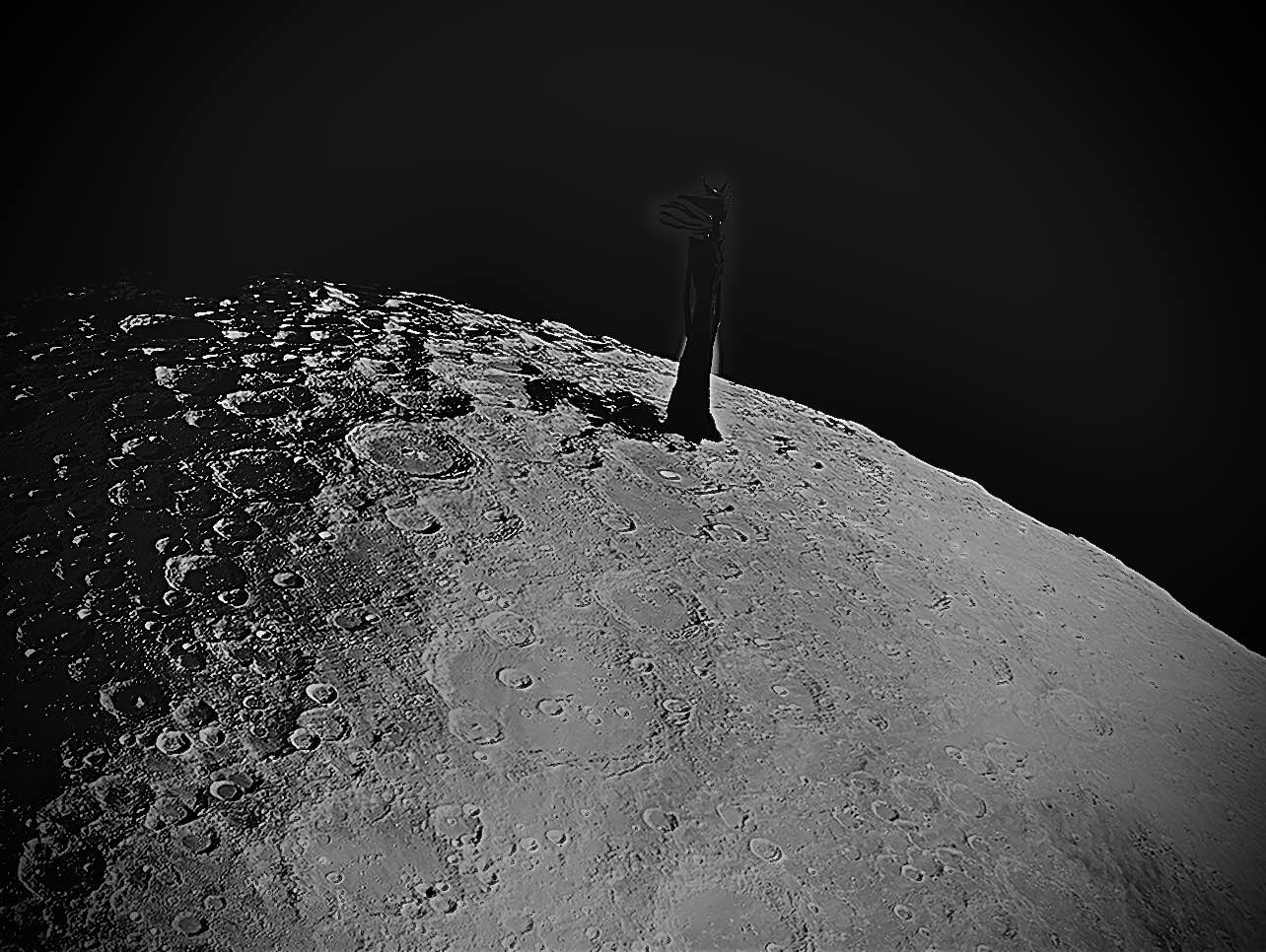 Stars Don't Die main